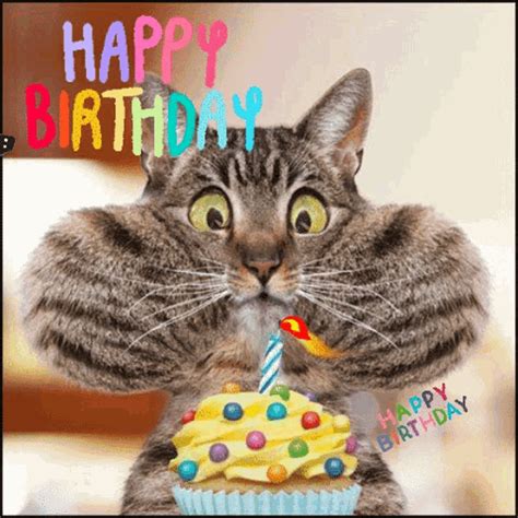 geburtstag memes|Funny Birthday GIFs